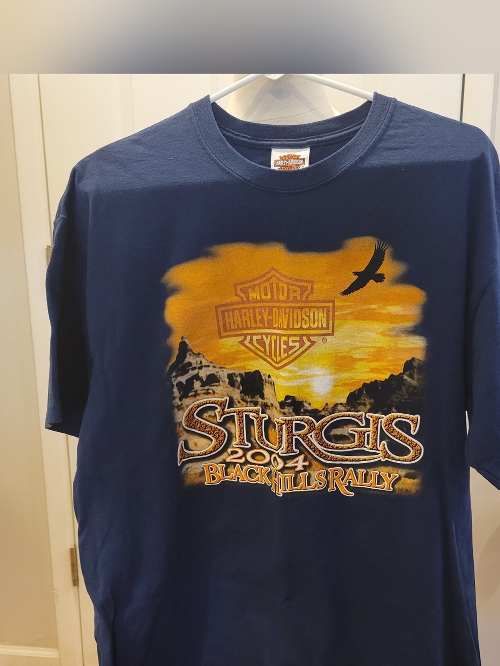 🏍EUC~ HARLEY-DAVIDSON TEE Sturgis Black Hills Rally